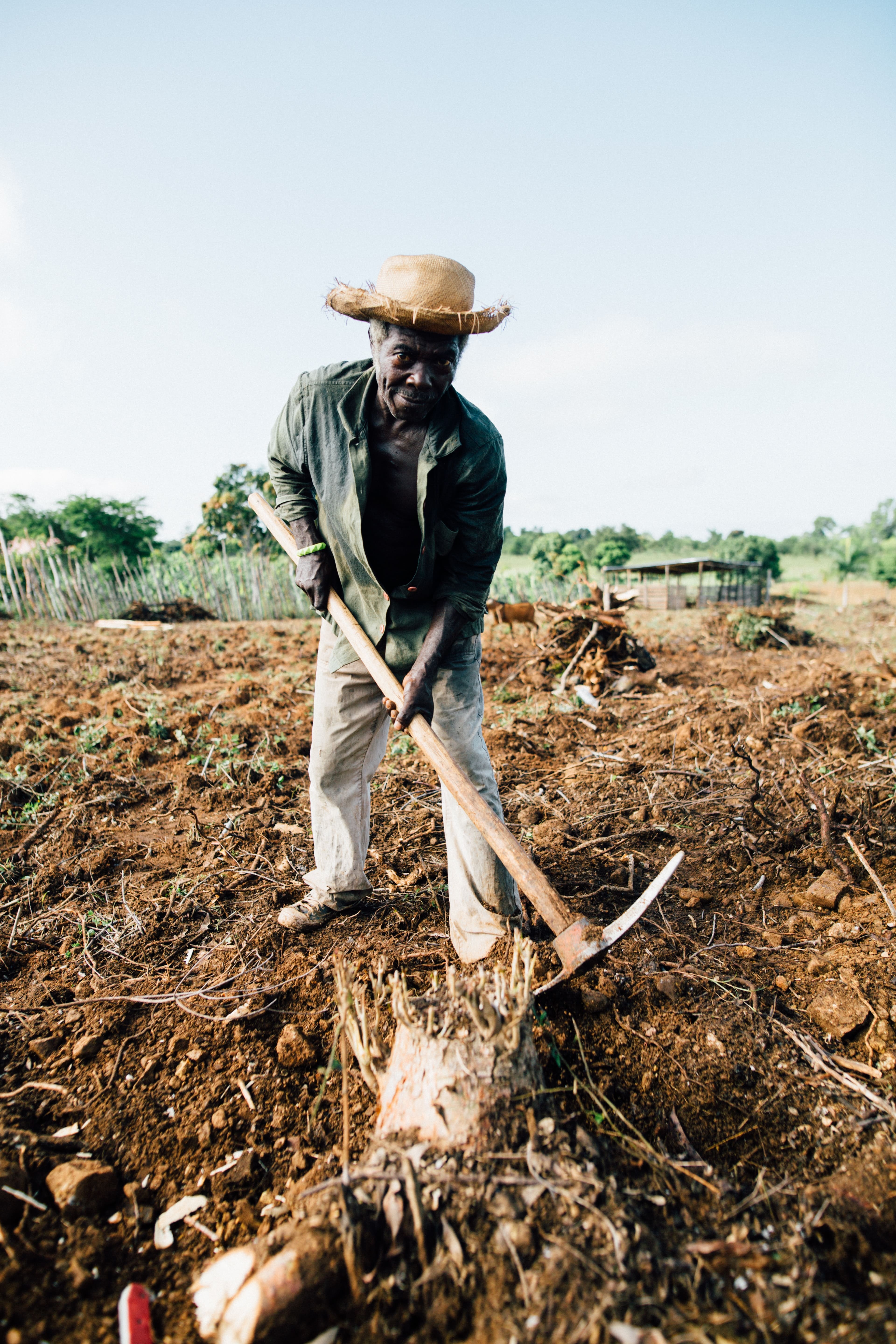 Campo de agricultura com tecnologia Kilunga