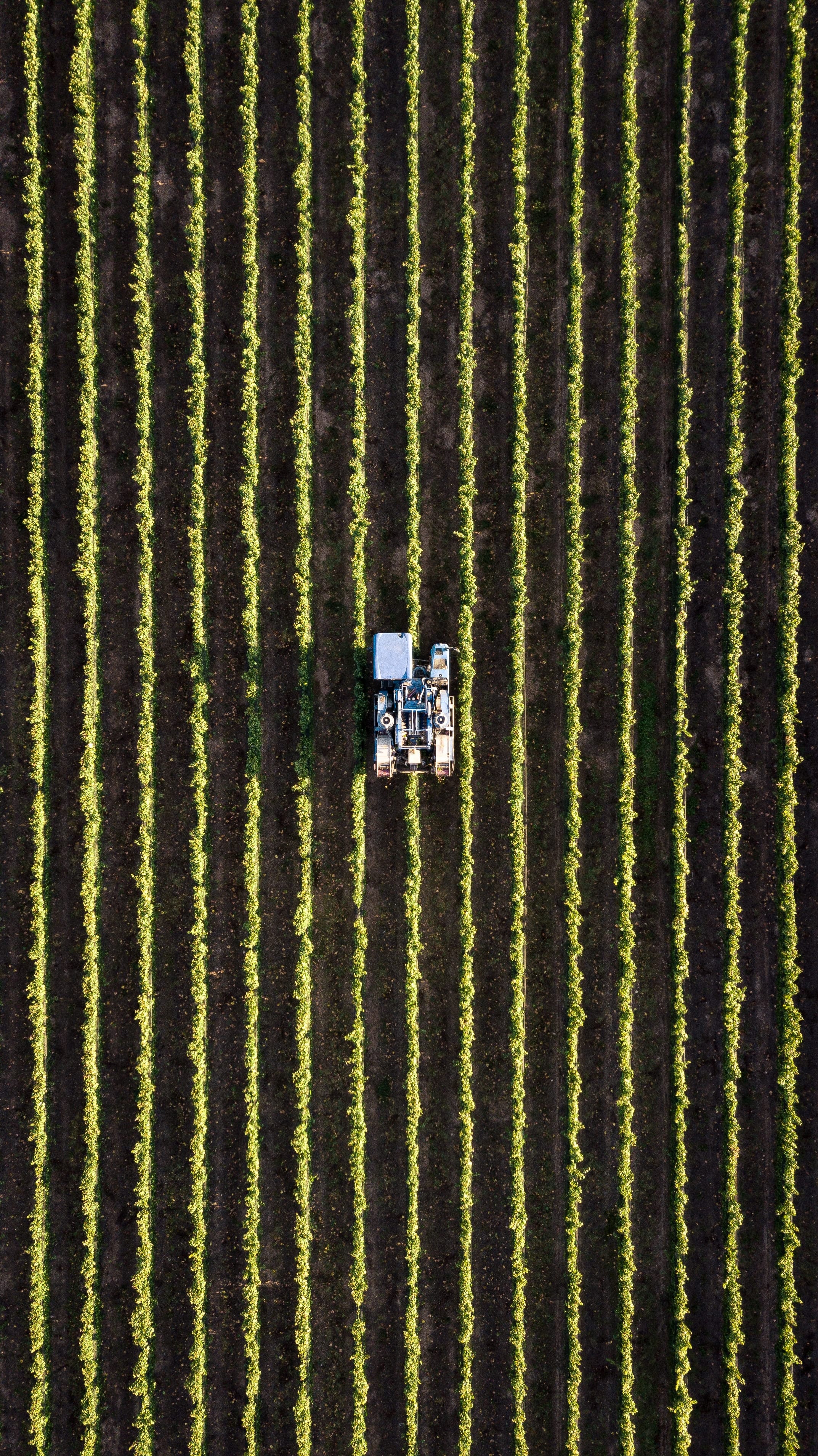 Equipa talentosa pronta para solucionar os problemas agricolas